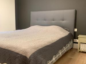 a bedroom with a large bed with a large headboard at Appartement Rénové, Proche Centre-Ville Épinal, 2 Chambres, Confort, WiFi, Parking - FR-1-589-54 in Épinal