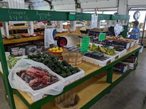 Jídlo v apartmánu nebo okolí