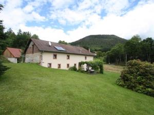 a house on a hill with a green yard at Grande Ferme Rénovée avec Jardin, Terrasse et Sentiers à Proximité - Vosges - FR-1-589-232 in Taintrux