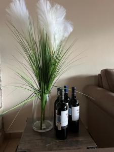 due bottiglie di vino su un tavolo con una pianta di Santa Lucia Bed&Breakfast a Santa Lucía