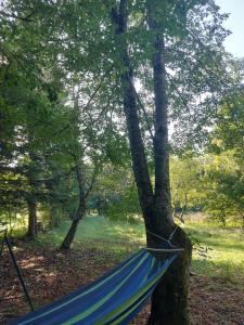 Imagen de la galería de Šumska bajka Lukovo, en Bribir