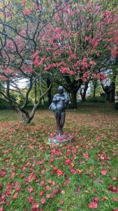Okakararaにあるsteps Self-Catering Accommodationの花が咲く公園にある少女の像
