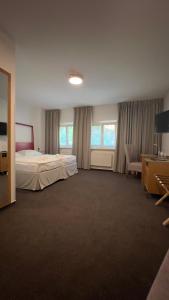 a large bedroom with a bed and a desk at Hotel PAYER in Teplice