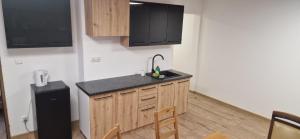a kitchen with a sink and a counter top at Apartamenty Retro Loft in Chorzów