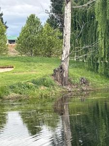 Φυσικό τοπίο κοντά σε αυτό το διαμέρισμα