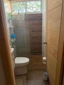 a small bathroom with a toilet and a shower at This home is paradise in Boca Chica