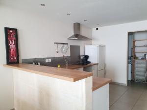 スノンにあるCharmante échoppe Bordelaise à deux pas du centreのカウンターと冷蔵庫のあるキッチン +2枚の写真