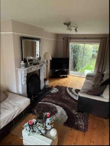 a living room with a couch and a fireplace at Guest House in Dublin 4 in Blackrock