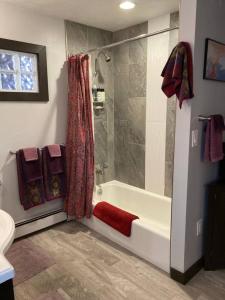 a bathroom with a shower and a tub with a red towel at Gorgeous Coal Creek Canyon Guest Suite in Coal Creek