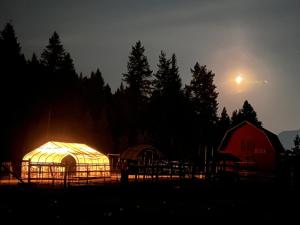 two domes in a field at night with the moon at Ellison Funny Farm in Barrière