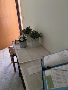 un tavolo con due piante in vaso sopra di esso di Casa Di Lo a Torre Pali