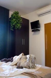 Posteľ alebo postele v izbe v ubytovaní Augusta Palm Apartment
