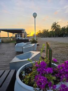 Η ανατολή ή δύση του ηλίου όπως φαίνεται από αυτό το διαμέρισμα ή από εκεί κοντά