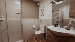 a bathroom with a toilet and a sink and a shower at Bridge View Cottage in Podhokhórion +17 photos
