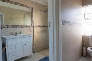 een badkamer met een wastafel, een toilet en een spiegel bij Begonias Eden in Helderberg College +20 foto's