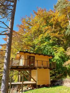 Κήπος έξω από το Treetop Tiny House Pod Korunami +10 φωτογραφίες