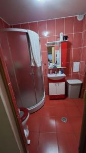 a red bathroom with a shower and a sink at Reghin Ultra Central in Reghin