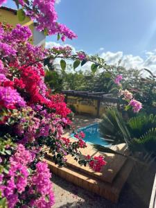 a swimming pool with pink flowers in front of a house at Pousada dos Sonhos in Barra