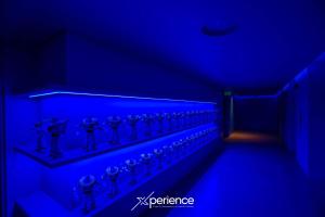 a row of figurines on a shelf in a blue room at Secrt Sabana 2BR · Skyline View · High Floor · Pool & Gym · Apt 2810 in San José +50 photos