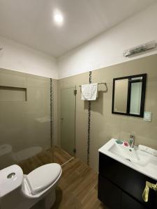 ein Badezimmer mit Toilette, Waschbecken und Dusche in der Unterkunft Hotel Santa Teresa in Tequila
