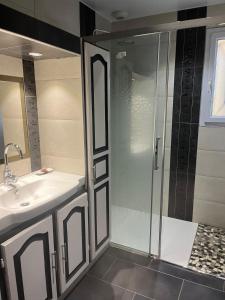 a bathroom with a shower and a sink at Maison de vacances in Ramous