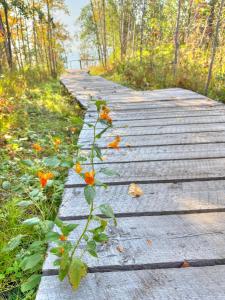 Příroda nedaleko aparthotelu