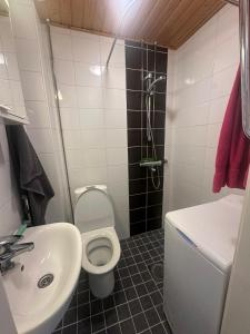 een badkamer met toilet en wastafel bij Sweety house in Helsinki