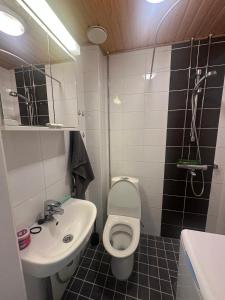 een badkamer met een wit toilet en een wastafel bij Sweety house in Helsinki