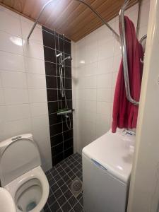 een badkamer met een toilet, een wastafel en een douche bij Sweety house in Helsinki