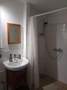 a bathroom with a sink and a shower with a shower curtain at Nice ground floor with garden for 2 people 