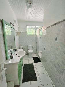une salle de bain avec un lavabo, des toilettes et une douche dans l'établissement Exceptional villa KODEÏA - private spa & panoramic view, à Sainte-Marie