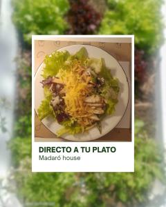 una imagen de un plato de ensalada con queso en Madaro House, en San Antonio de Arredondo