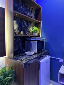リヤドにあるاستديو انيقのキッチン(植物のあるカウンターに電子レンジ付)