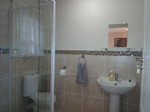 a bathroom with a sink and a toilet and a shower at Dayspring Cottage in Howick +16 photos