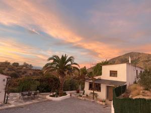a house with a palm tree in the yard at Casa -Cueva Paraje De Los Majuelos in Zújar