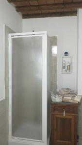 La salle de bains est pourvue d'une cabine de douche en verre. dans l'établissement La Libellula, à Capannoli