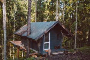 a tiny house in the woods at ALŪNA house in Žvirblaičiai