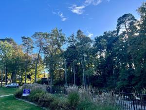 Příroda nedaleko apartmánu + 8 fotografií