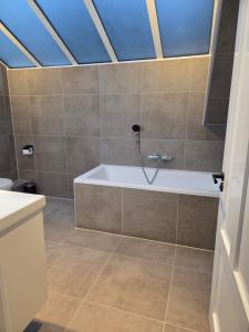 a bathroom with a bath tub with a skylight at Gastenverblijf De Goorns in Odoorn