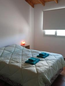 a bedroom with a bed with two blue pillows on it at La Chabela 02 in Trevelín