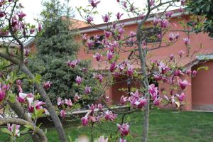 Aed väljaspool majutusasutust Il sottosopra