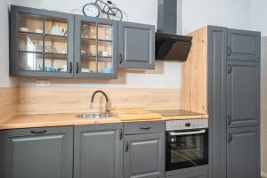 a kitchen with gray cabinets and a sink at Rheinzeit Koblenz in Koblenz