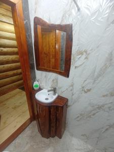een badkamer met een houten wastafel en een spiegel bij Корінь in Krasnoilov