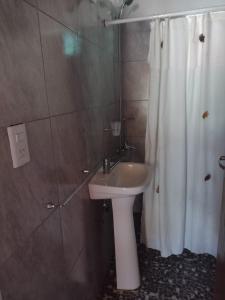 a bathroom with a sink and a shower curtain at Casita traslasierras in San Lorenzo