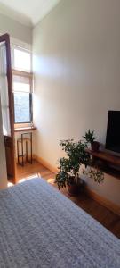 a bedroom with a bed and a potted plant at Hostal Dinamarca in Valparaíso