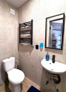 a bathroom with a toilet and a sink and a mirror at Inn Alibi in Khorodelets