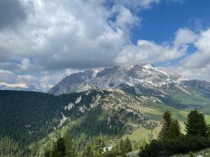 Příroda nedaleko rezortu