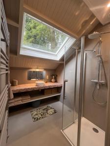 a bathroom with a shower and a sink and a window at Vakantiewoning De Vlinder, Bakkeveen in Bakkeveen