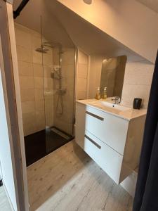 a bathroom with a sink and a shower at Petite maison avec terrasse in Sainte-Colombe-de-Peyre