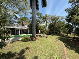 a palm tree in the yard of a house at Casa al rio con muelle privado Paso de la Patria in Paso de la Patria